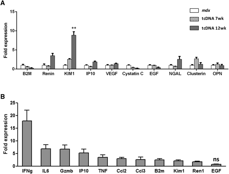 Figure 6