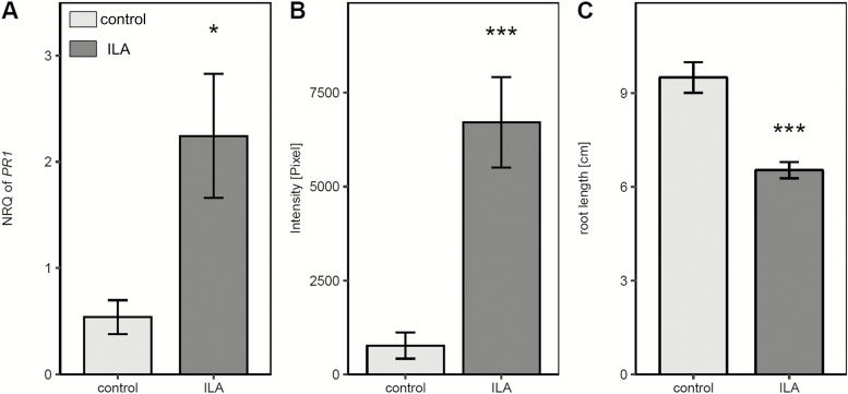 Fig. 8.