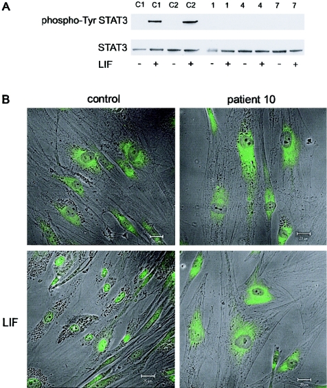 Figure  4