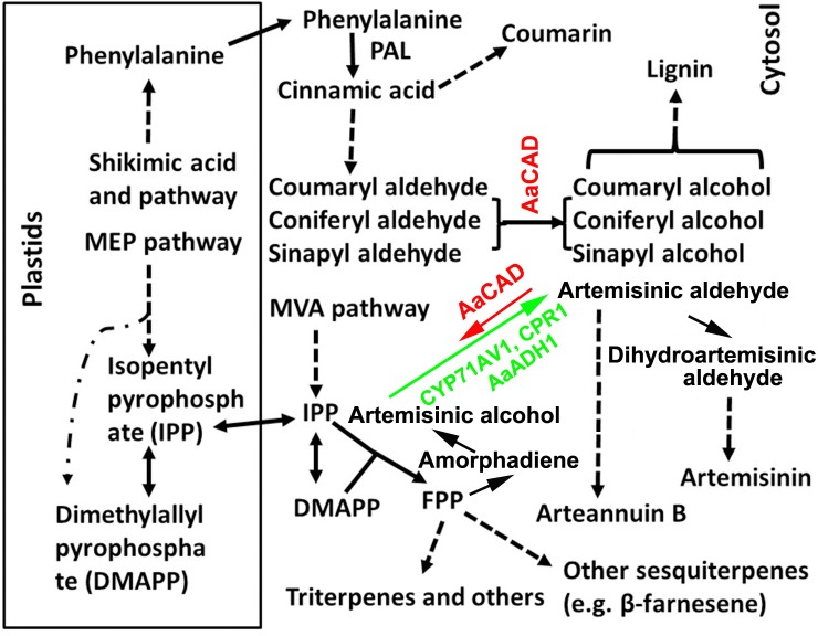 FIGURE 1