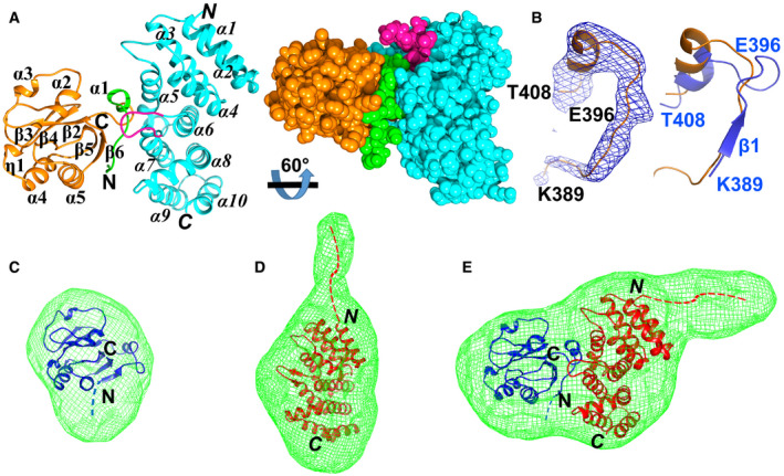 Figure 2