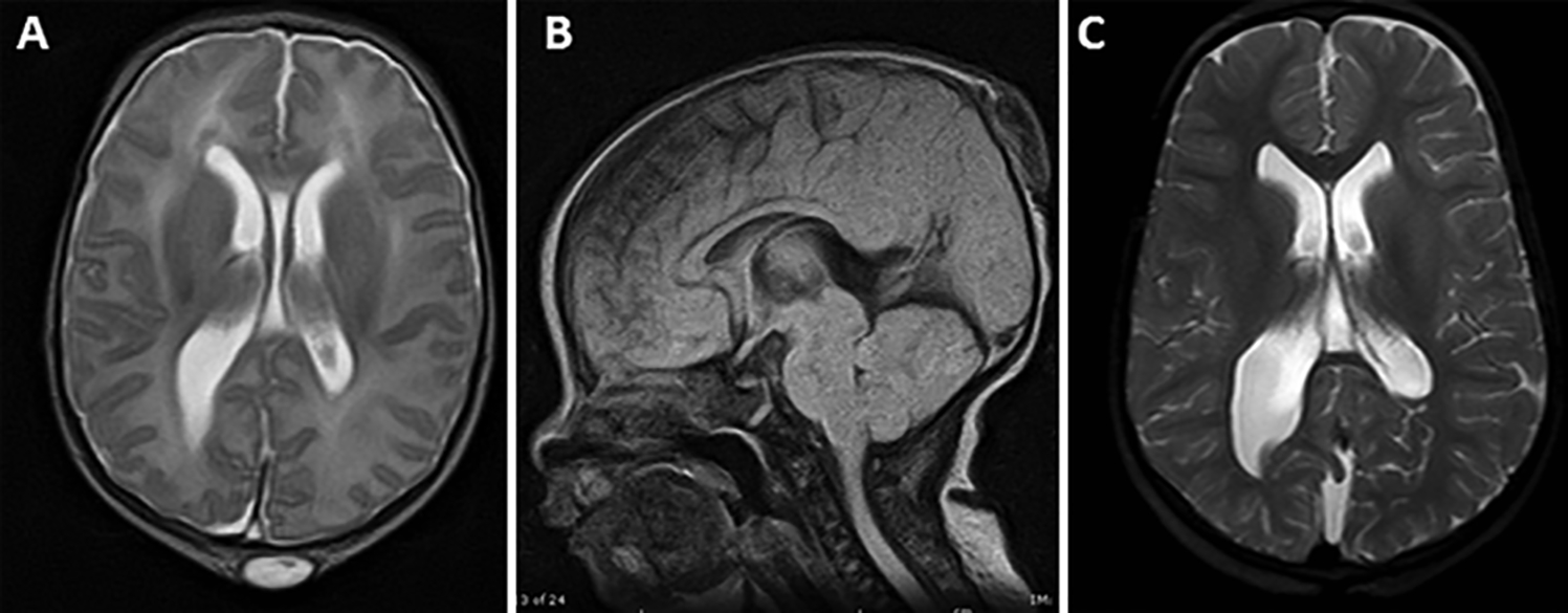 FIG. 1.