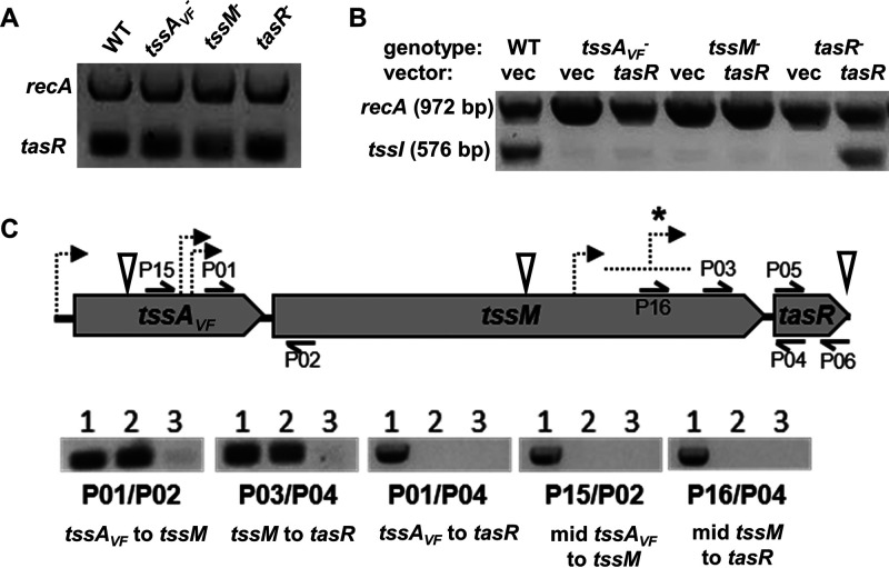 FIG 3