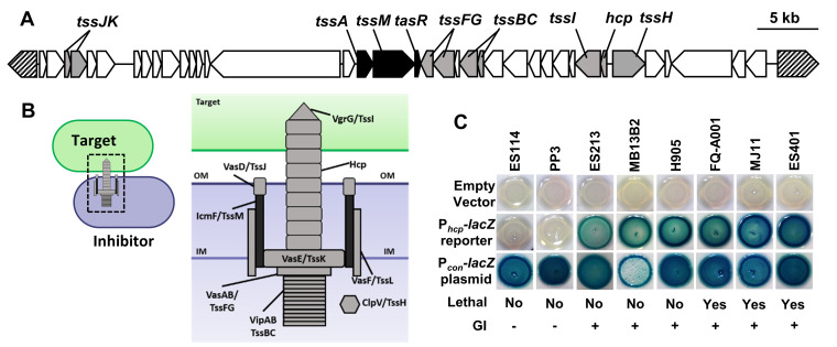 FIG 1