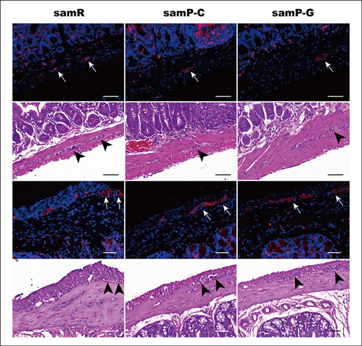 Fig. 10