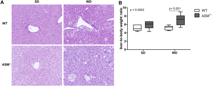 Figure 1