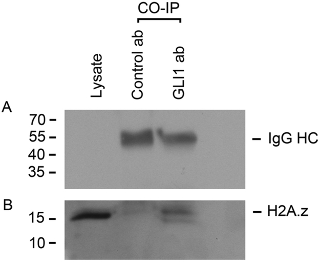 Fig. 9.