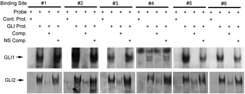 Fig. 6.