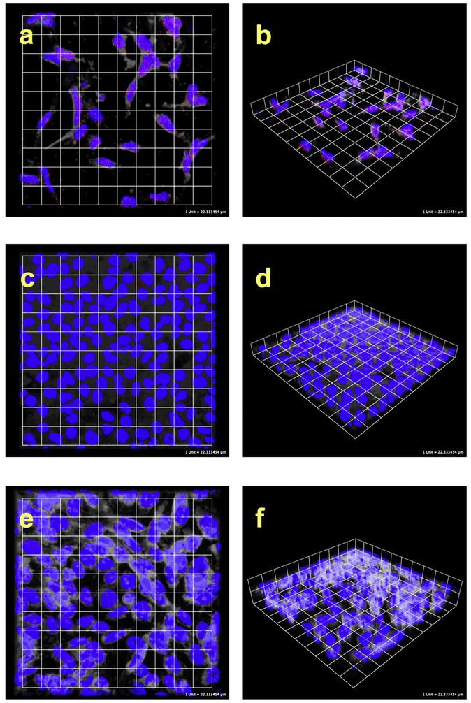 Fig. 8.