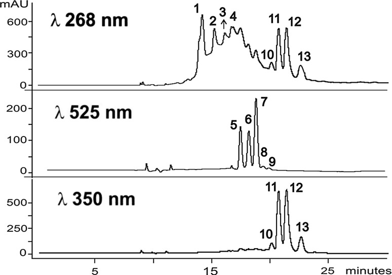 Fig. 3