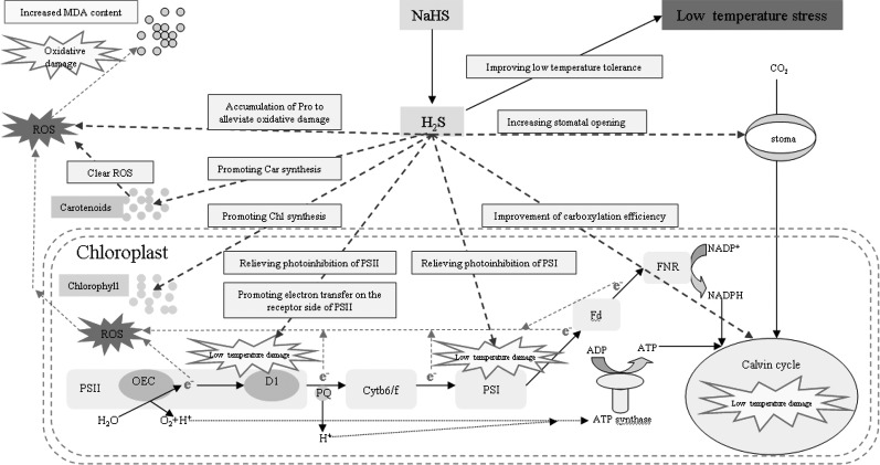 Figure 11