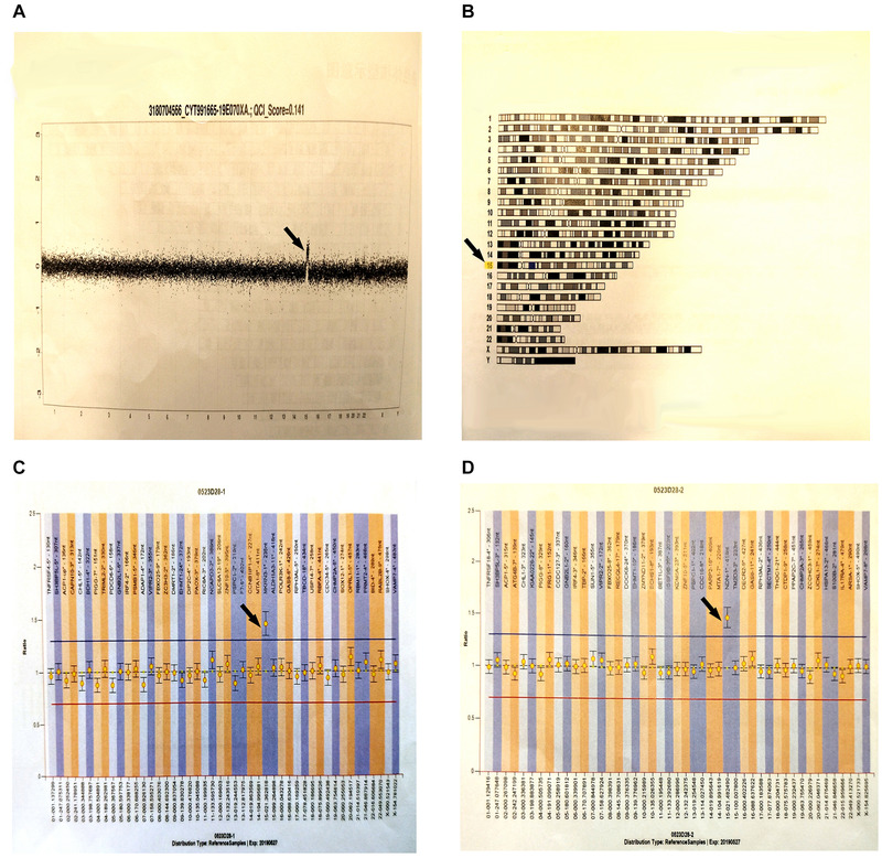 FIGURE 2