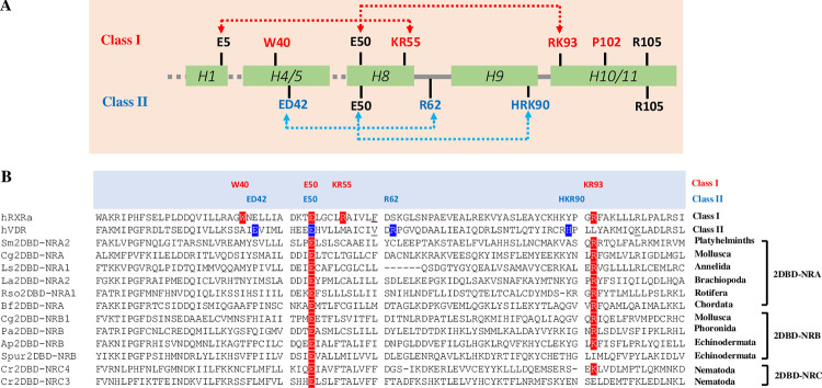 Fig 10