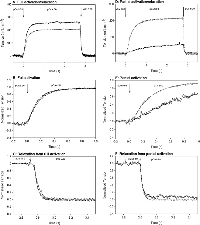 Fig. 4