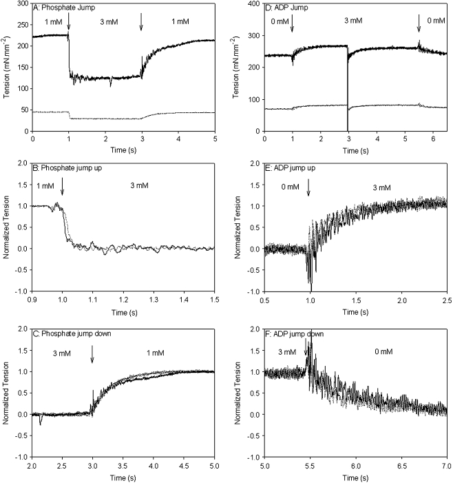 Fig. 8