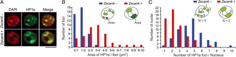 Figure 6.