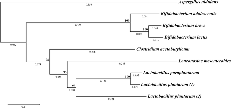 Fig. 2