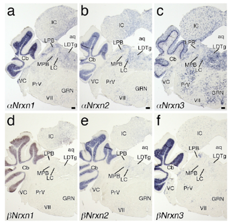 Figure 6.