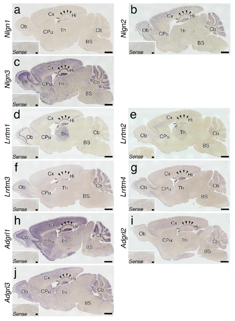 Figure 18.