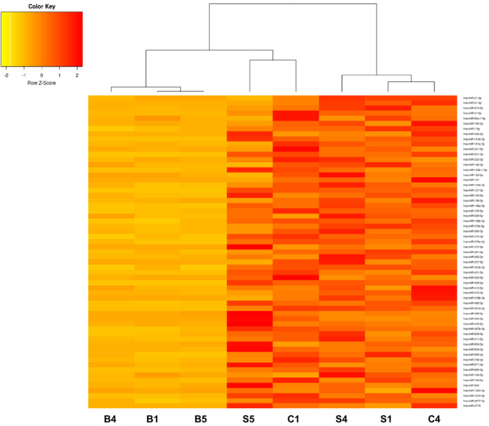 FIGURE 4