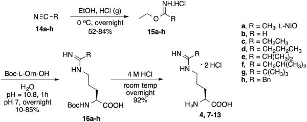 Scheme 4