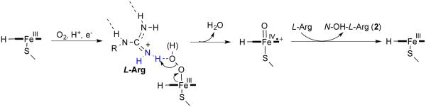 Scheme 2