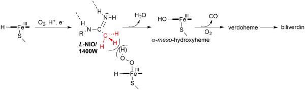 Scheme 3