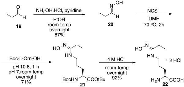 Scheme 6