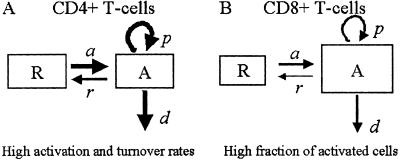 Fig 5.