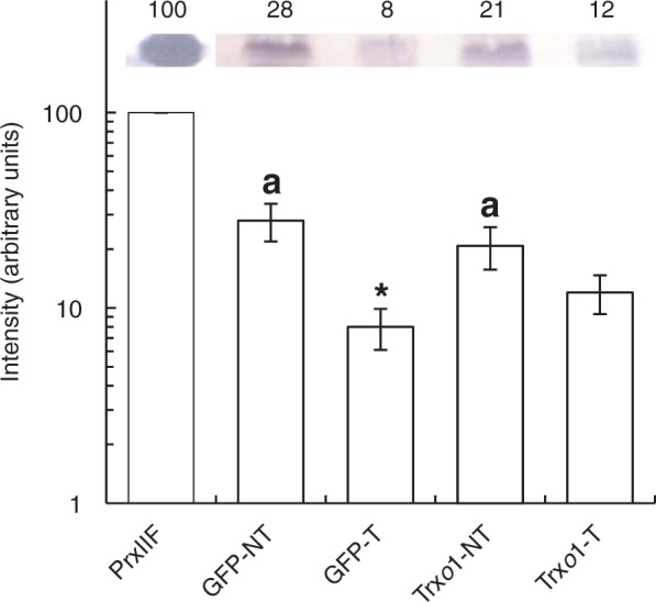 Fig. 10.