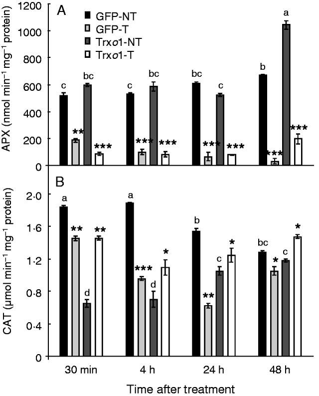 Fig. 9.