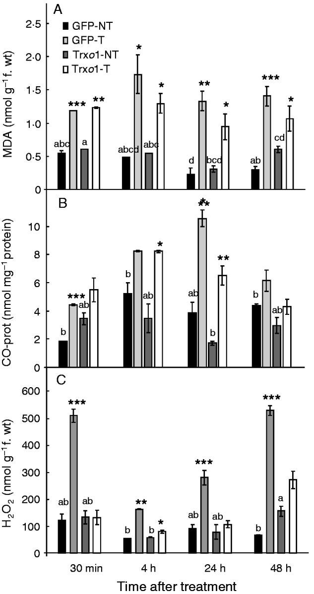 Fig. 6.