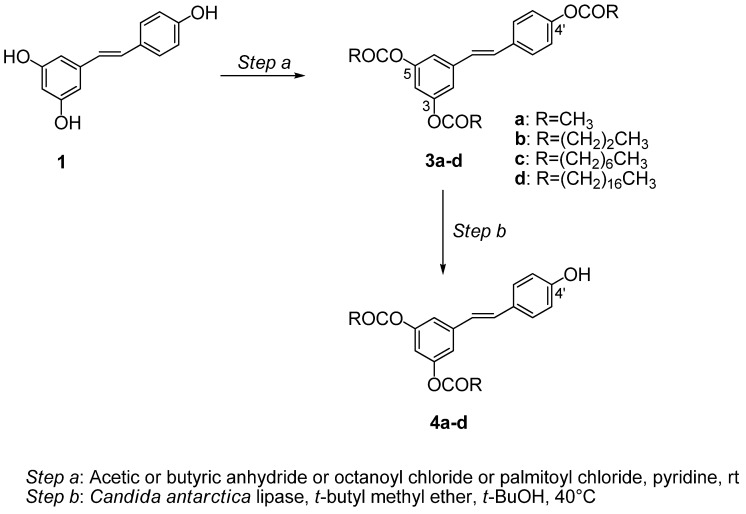 Scheme 1