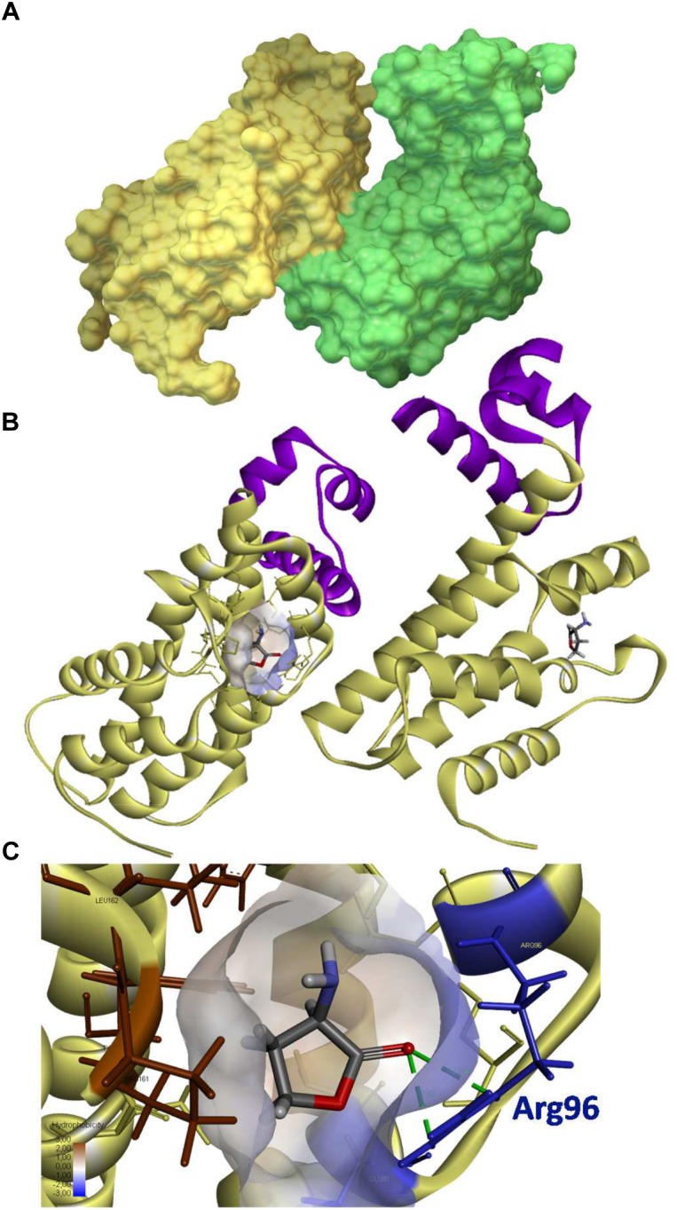 FIGURE 5