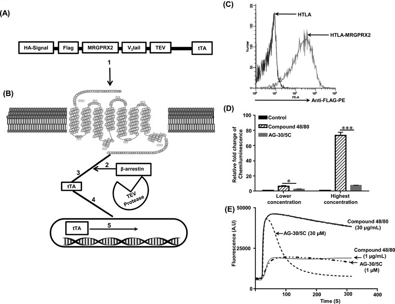 Figure. 3: