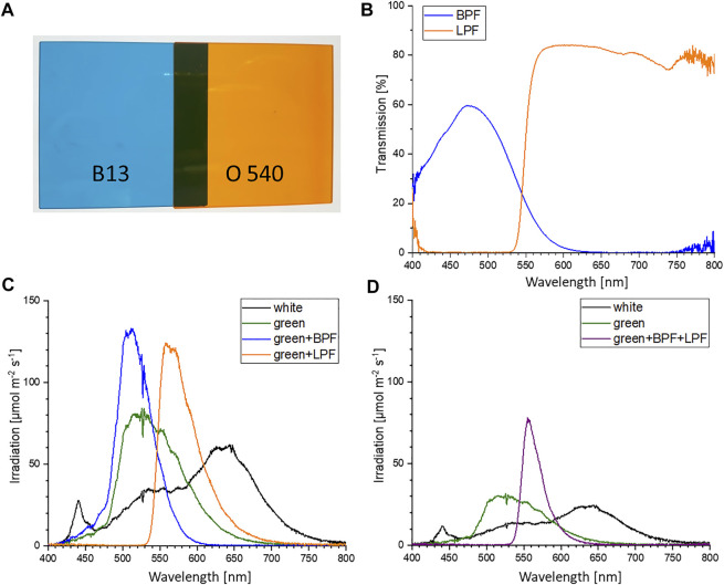 FIGURE 2