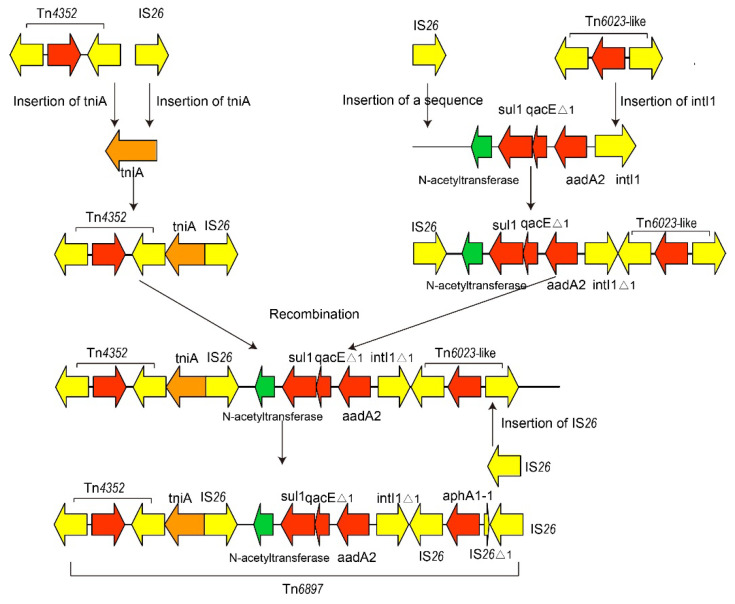 Figure 4