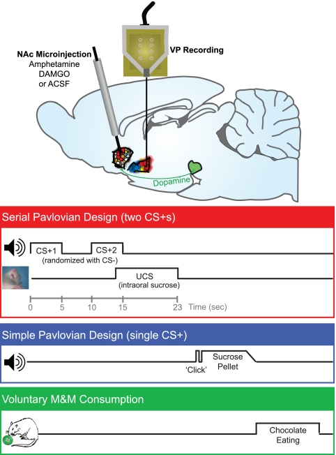 Fig. 1.