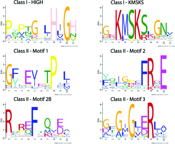 Figure 1.