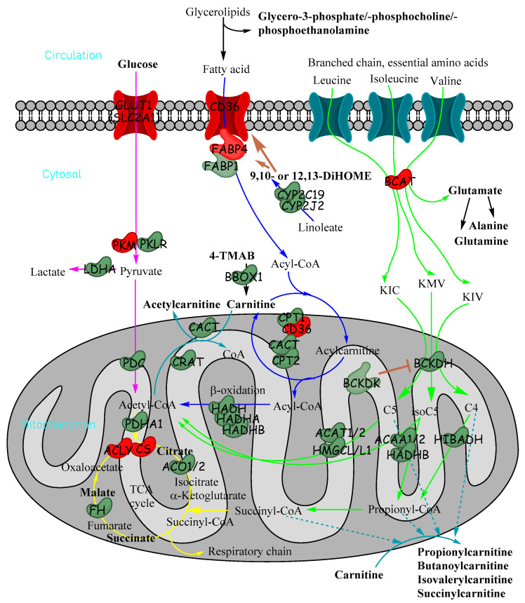 Figure 7