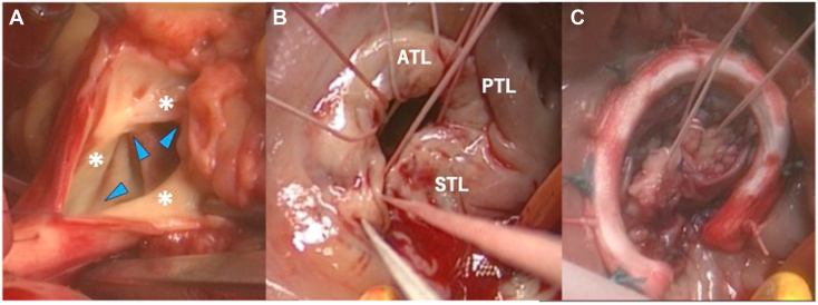 Figure 7