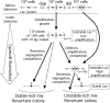 Fig. 2.