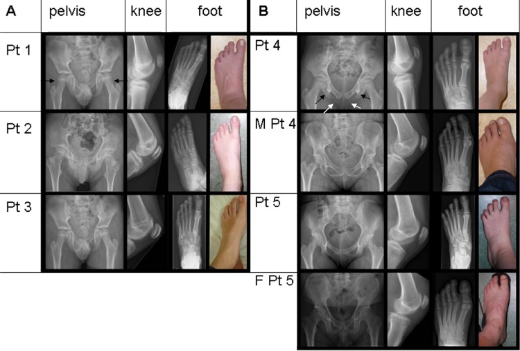 Figure 2