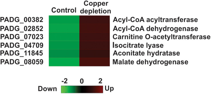 FIGURE 3