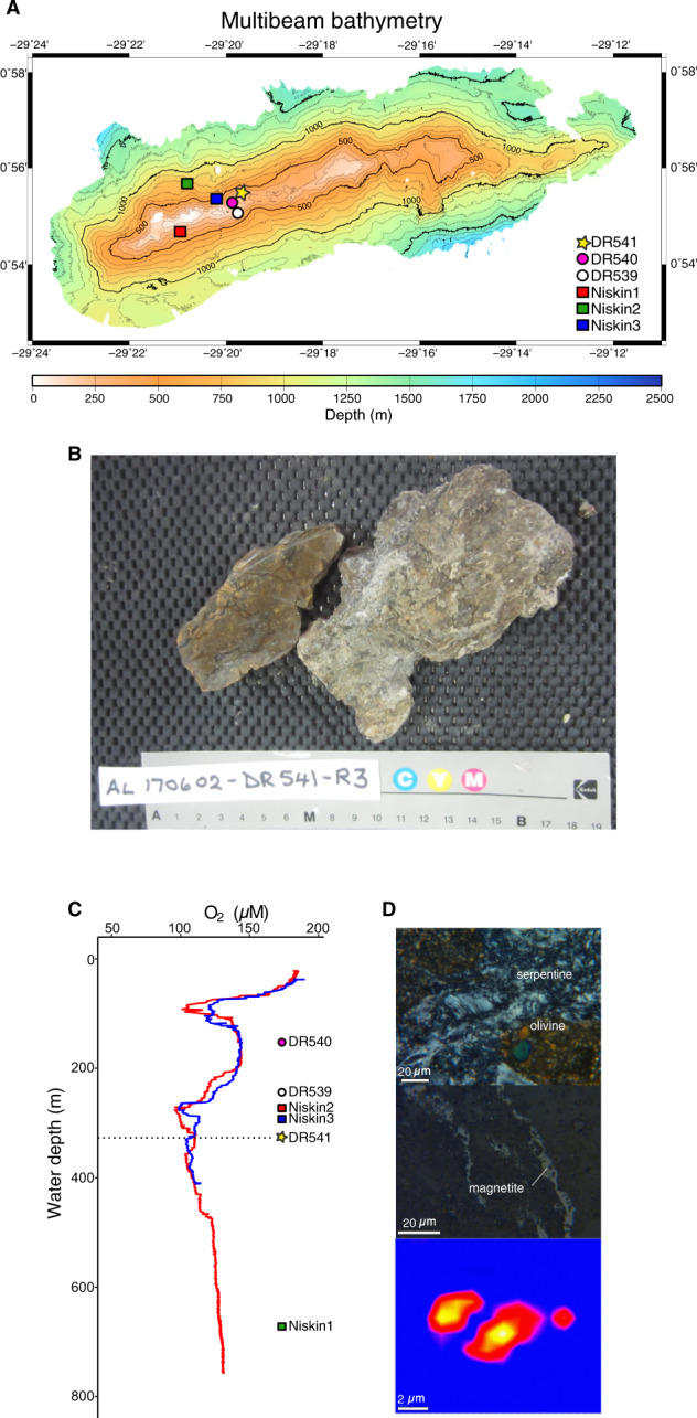 Fig. 1