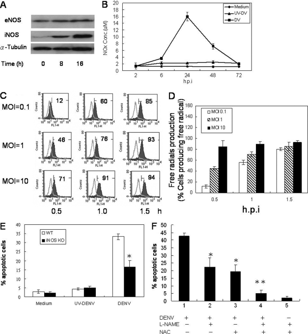 FIG. 7.