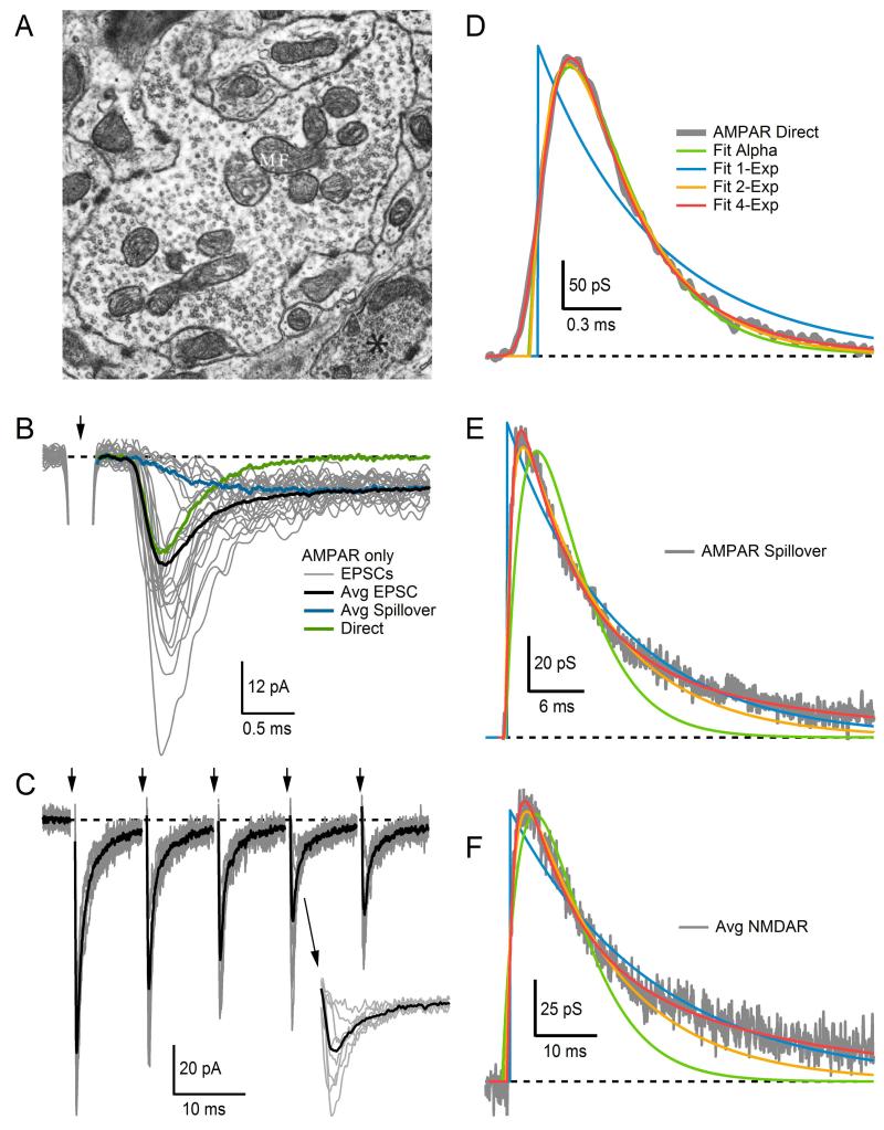 Figure 13.2