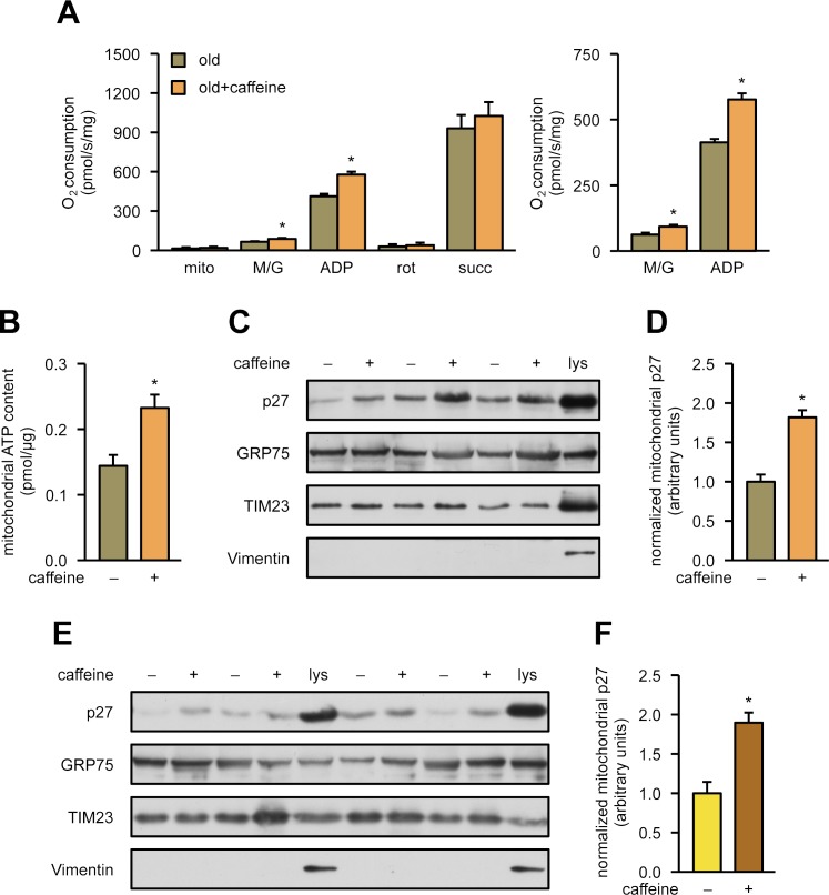 Fig 8