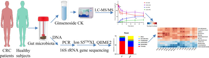 graphic file with name 13020_2021_436_Figa_HTML.jpg