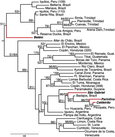 Fig. 3.